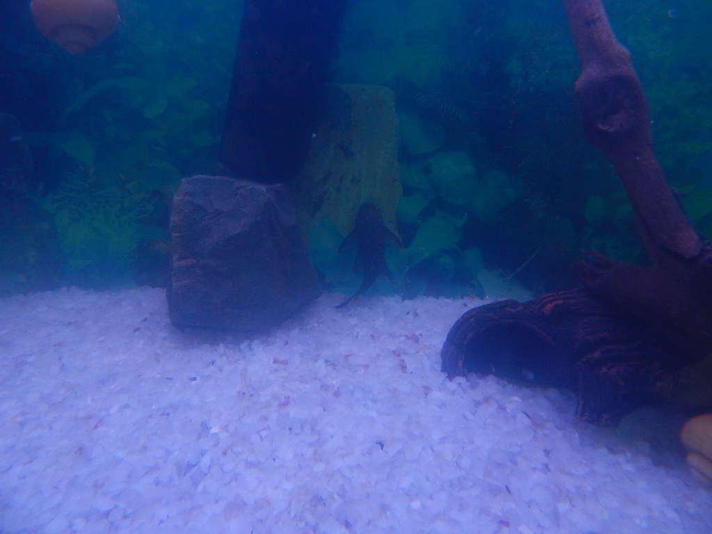 dscn1704.jpg