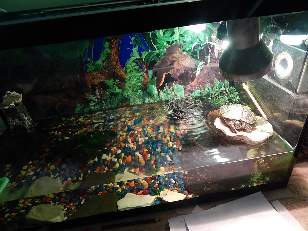 dscn1705.jpg