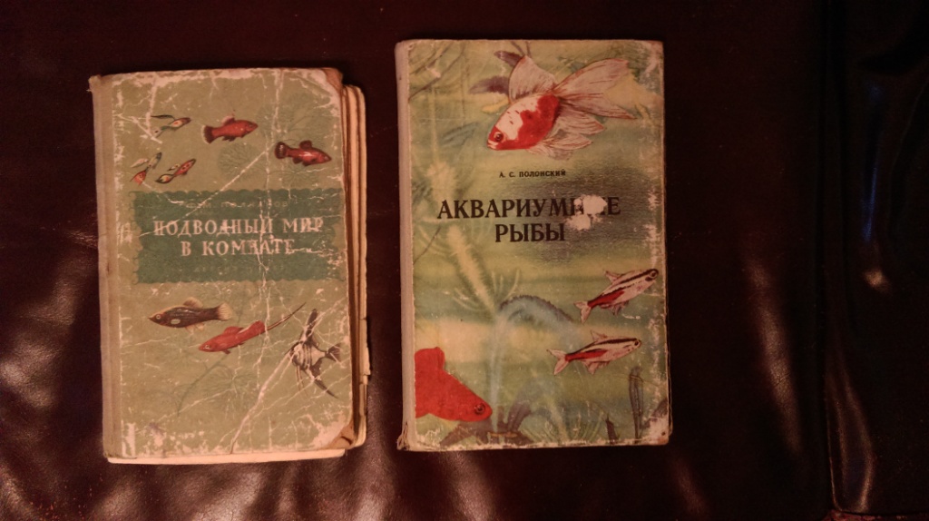 imag0313.jpg