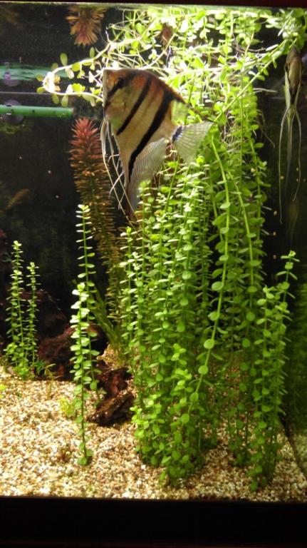 imag0802.jpg