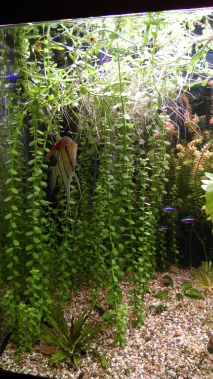 imag0804.jpg