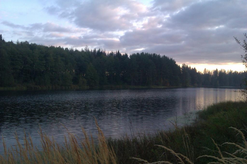 imag0979.jpg