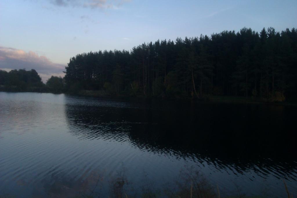 imag0980.jpg