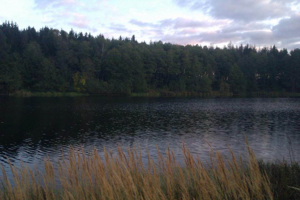 imag0981.jpg