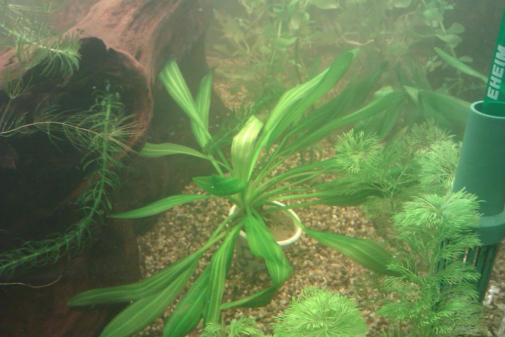 imag1074.jpg