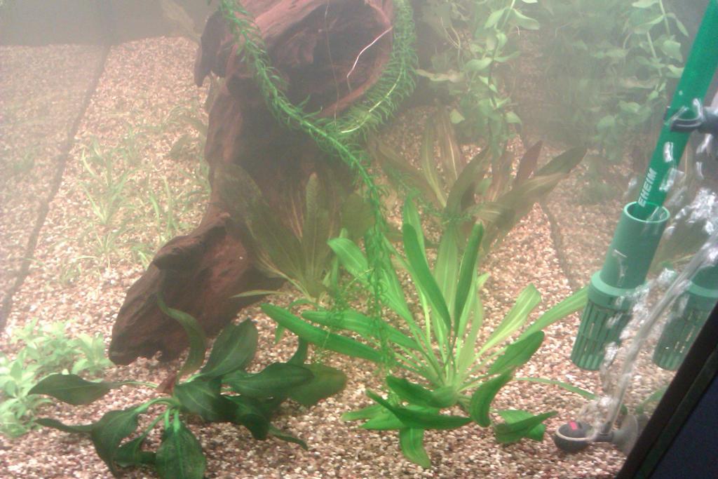 imag1084.jpg