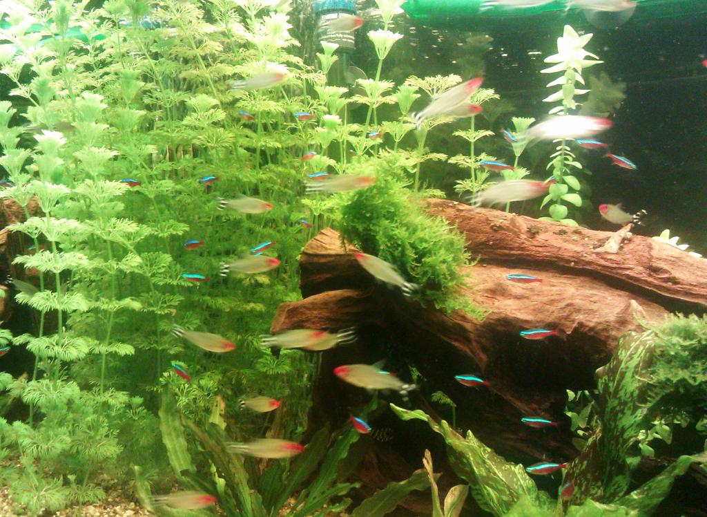 imag1426_0.jpg