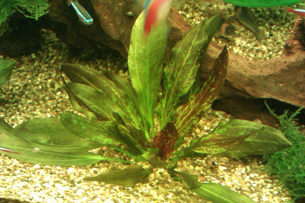 imag1429_0.jpg
