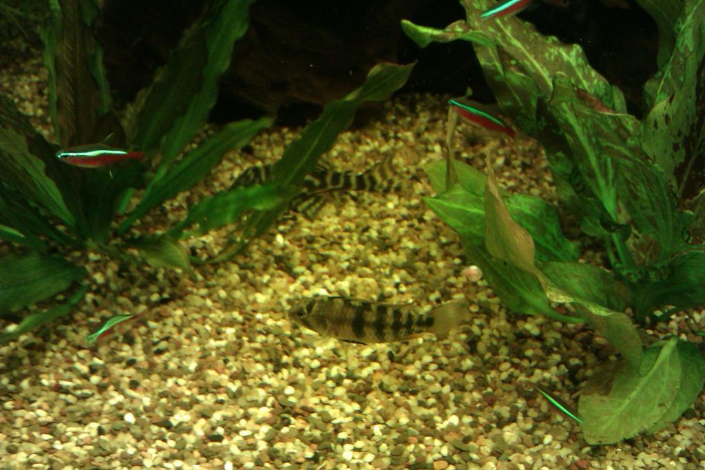 imag1430_0.jpg