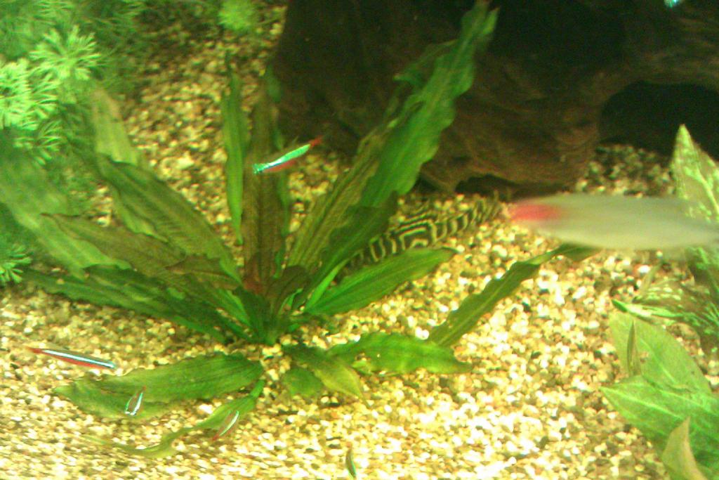 imag1431_0.jpg