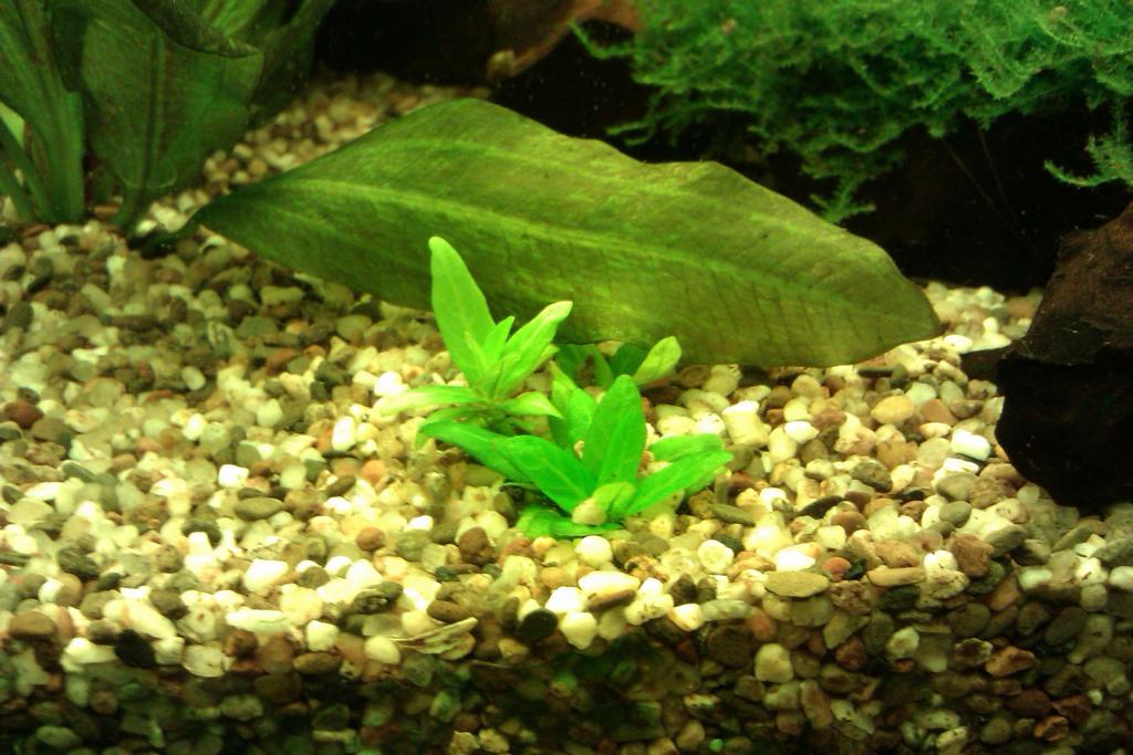 imag1442_0.jpg