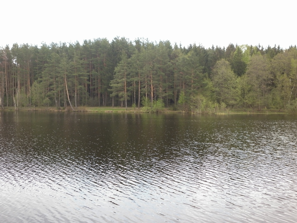 водоём для рыбалки, купания и души