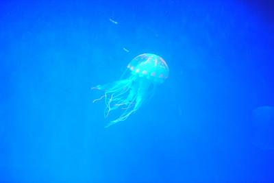 p1010411_0.jpg