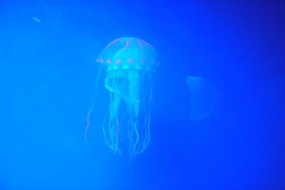 p1010412_0.jpg
