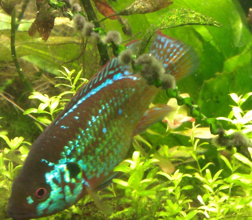 image_1.jpg