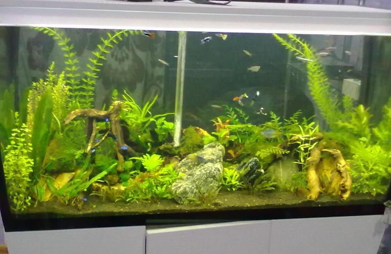 11022014062s.jpg