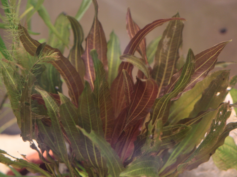 _mg_4027.jpg
