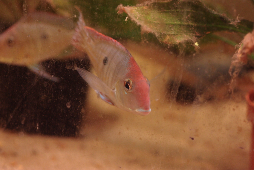 _mg_5826.jpg