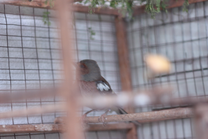 _mg_6018.jpg