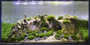p16qpaht0do1es041qp8qno11vd1.jpg