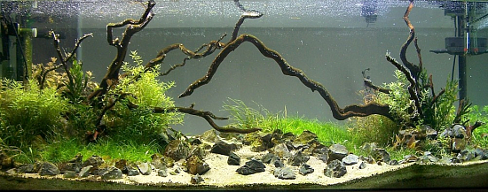 un_bout_de_nature_by_olileon_4.jpg