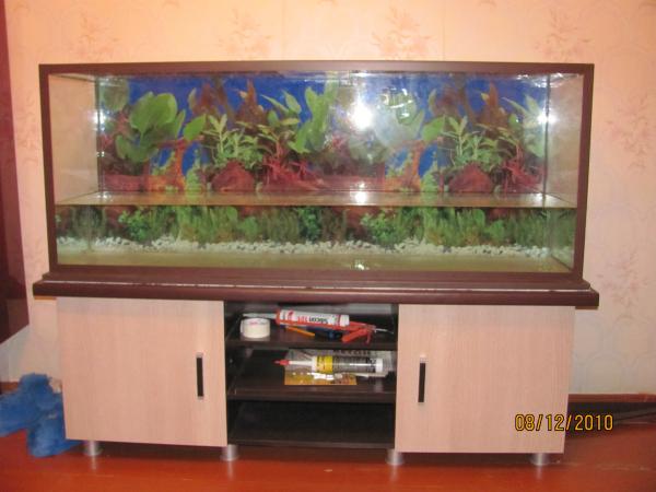 IMG_0755.jpg