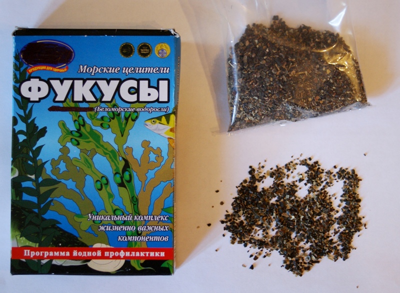 fucus.jpg