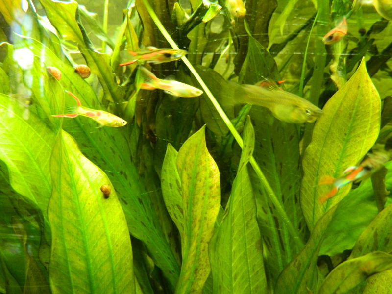 2010-12-31_23-00-00_26.jpg