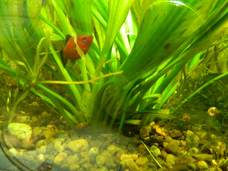 2010-12-31_23-00-00_29.jpg