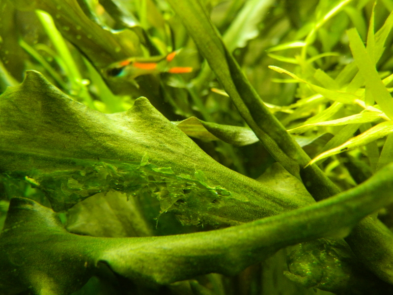 2010_12_31_23_00_00_1.jpg