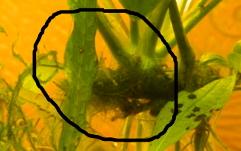 2011-01-01_00-00-00_41_0.jpg