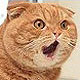 post-720-1261761403.jpg