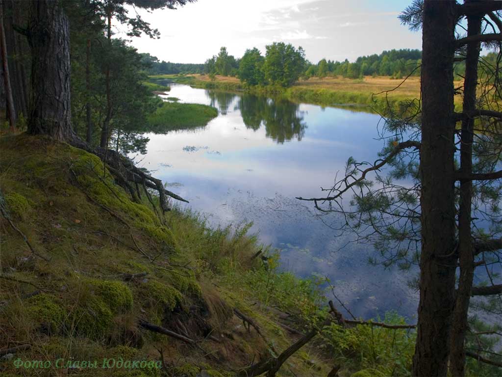 river-crw_9429.jpg
