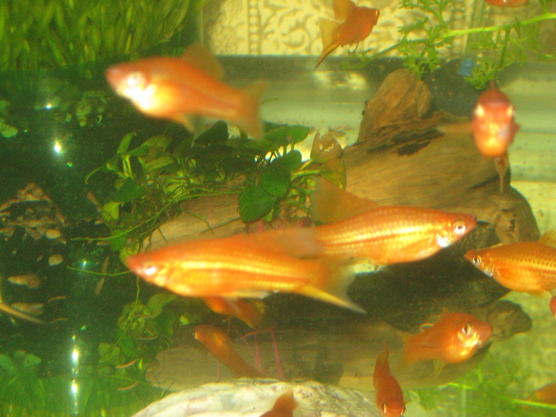img_2777.jpg