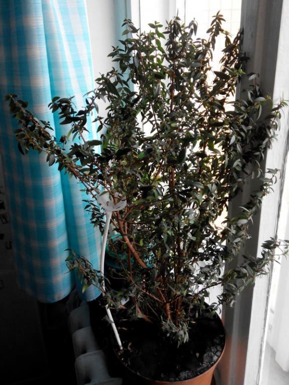 20150713064607.jpg