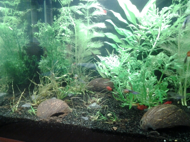 20150214_1217511.jpg