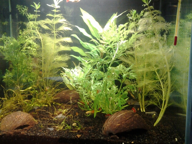 20150214_1217571.jpg