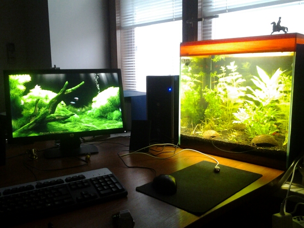 20150214_1533361.jpg