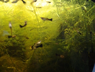 20150912_1156051_0.jpg