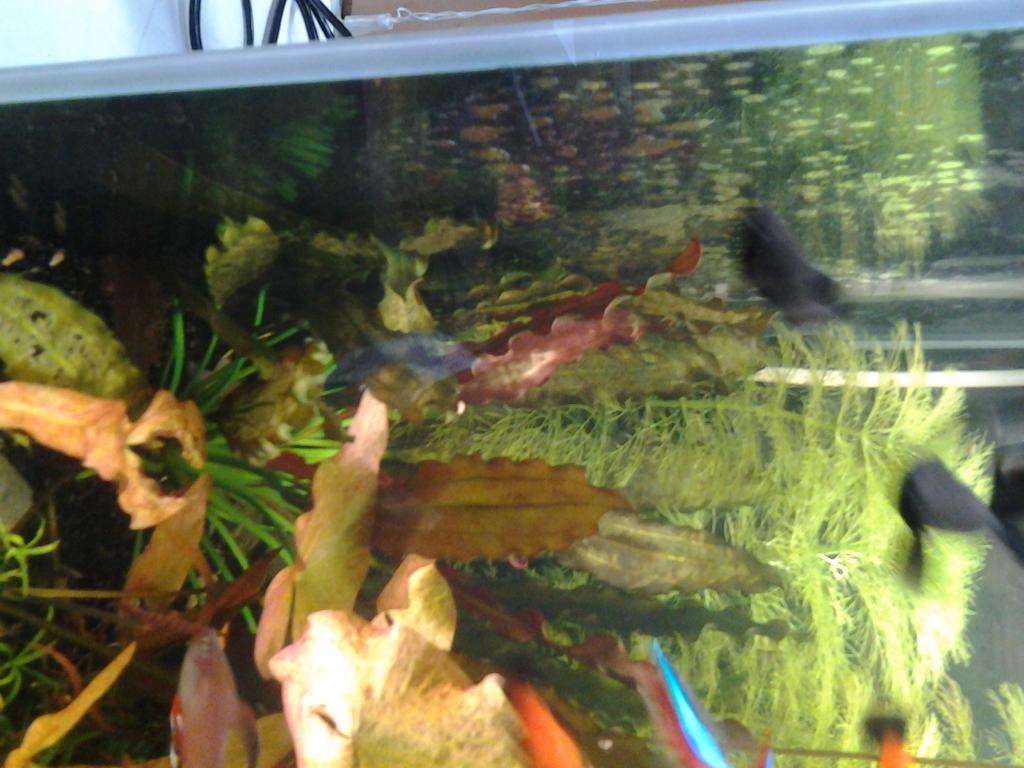 20160116_174853.jpg