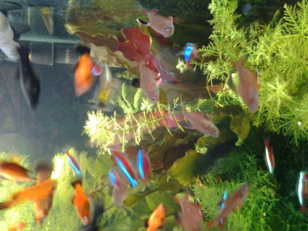 20160116_174903.jpg