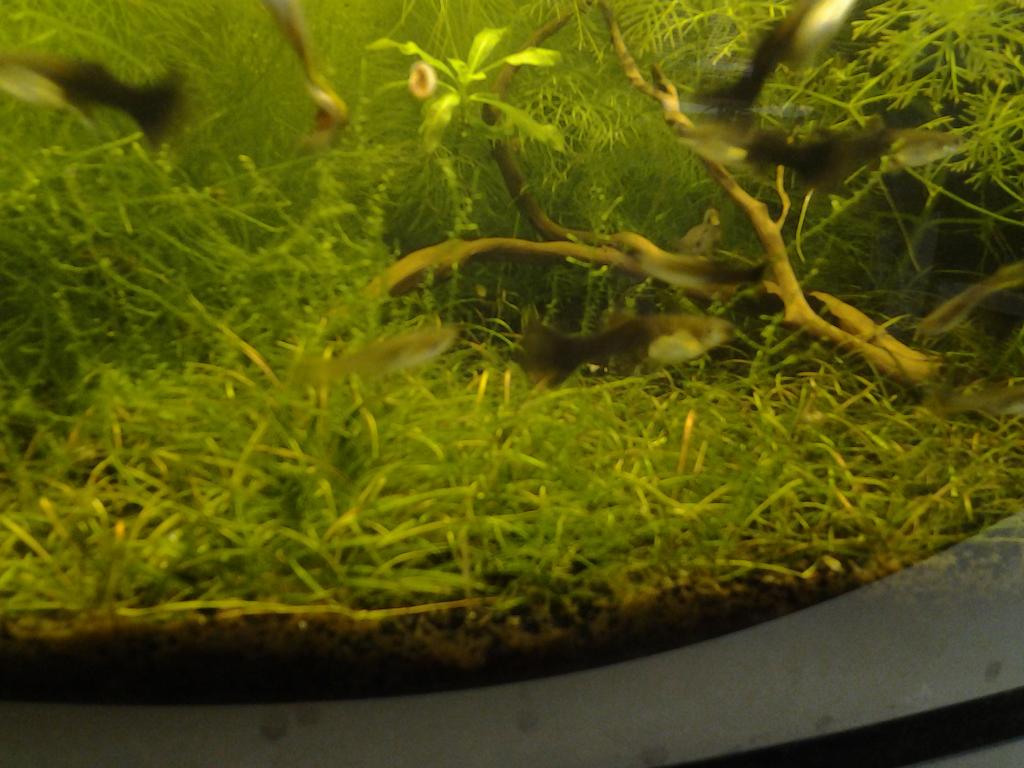 20160116_174947.jpg