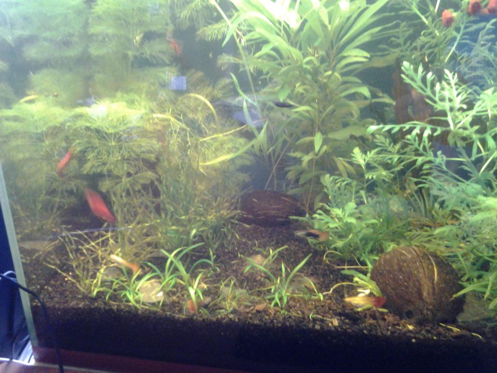 20150404_135242.jpg