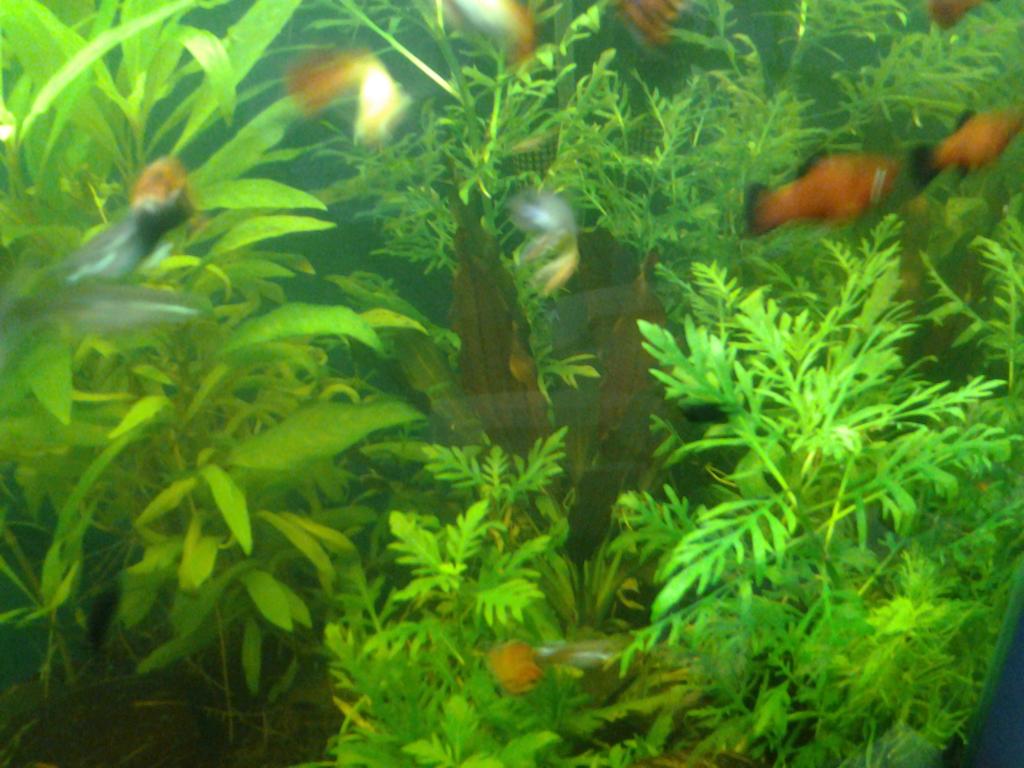 20150404_135352.jpg