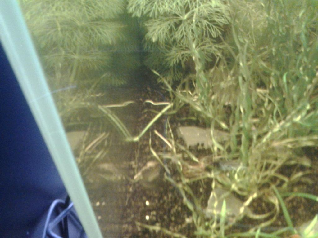 20150404_135456.jpg