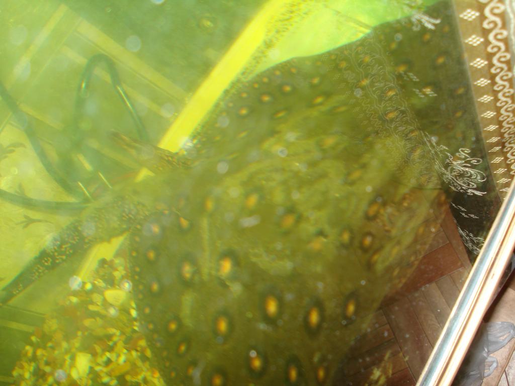 dsc05680.jpg